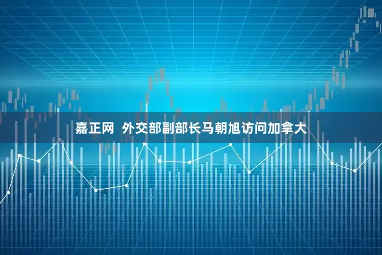 嘉正网  外交部副部长马朝旭访问加拿大