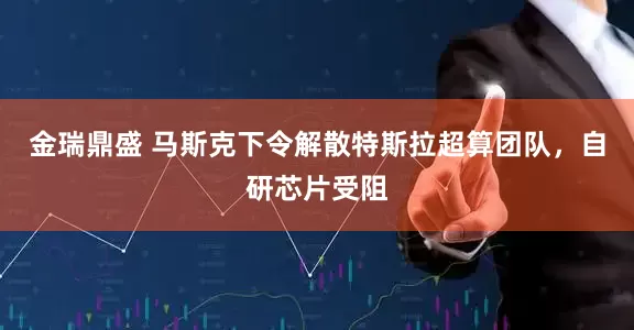 金瑞鼎盛 马斯克下令解散特斯拉超算团队，自研芯片受阻