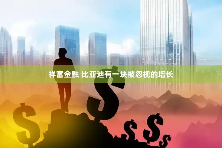 祥富金融 比亚迪有一块被忽视的增长