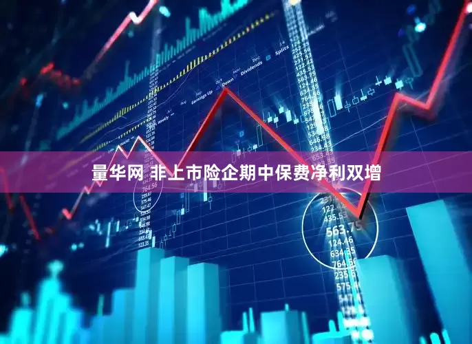 量华网 非上市险企期中保费净利双增